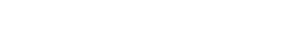 The Boston Times Logo